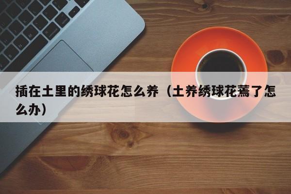 插在土里的绣球花怎么养（土养绣球花蔫了怎么办）