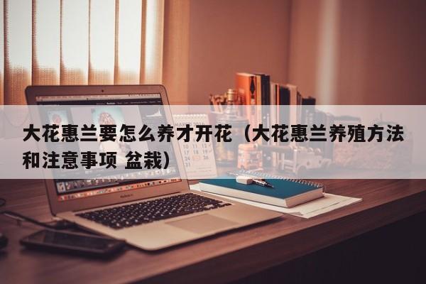 大花惠兰要怎么养才开花（大花惠兰养殖方法和注意事项 盆栽）