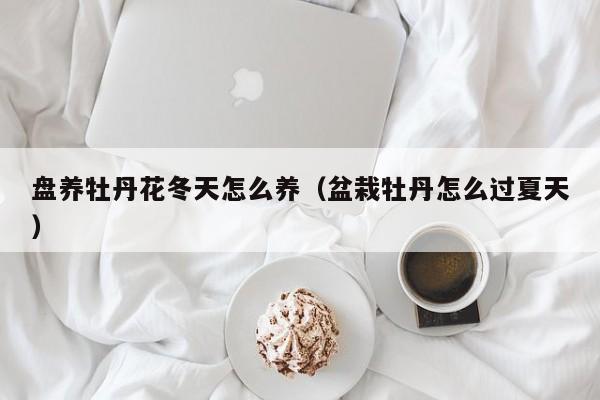 盘养牡丹花冬天怎么养（盆栽牡丹怎么过夏天）