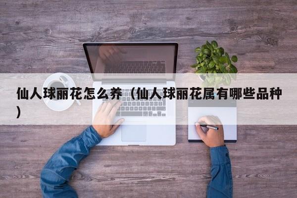 仙人球丽花怎么养（仙人球丽花属有哪些品种）