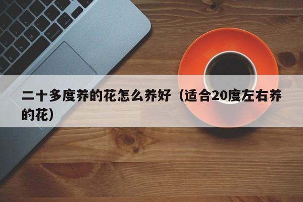 二十多度养的花怎么养好（适合20度左右养的花）