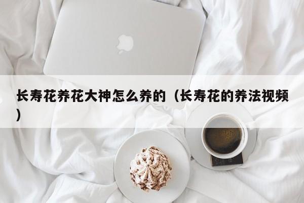 长寿花养花大神怎么养的（长寿花的养法视频）