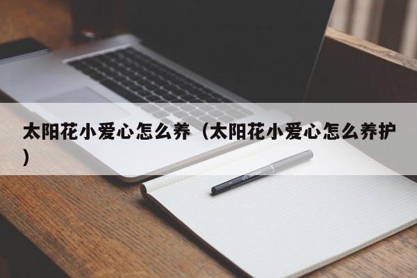 太阳花小爱心怎么养（太阳花小爱心怎么养护）