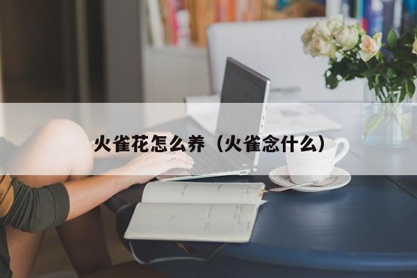 火雀花怎么养（火雀念什么）