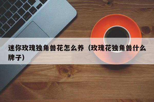 迷你玫瑰独角兽花怎么养（玫瑰花独角兽什么牌子）
