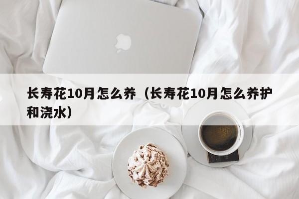 长寿花10月怎么养（长寿花10月怎么养护和浇水）