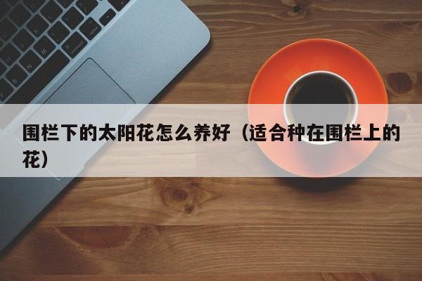 围栏下的太阳花怎么养好（适合种在围栏上的花）