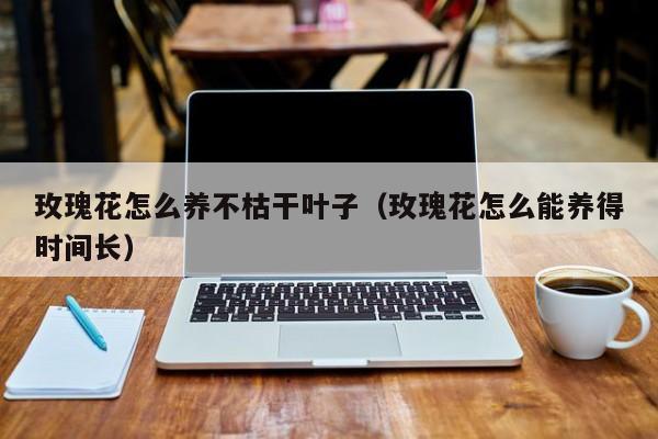 玫瑰花怎么养不枯干叶子（玫瑰花怎么能养得时间长）