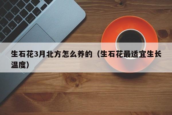 生石花3月北方怎么养的（生石花最适宜生长温度）