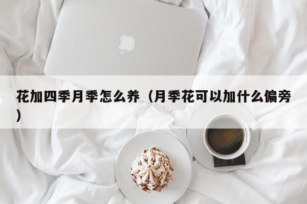 花加四季月季怎么养（月季花可以加什么偏旁）