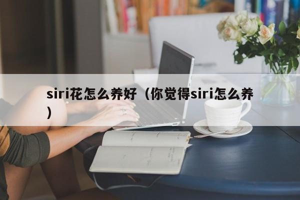 siri花怎么养好（你觉得siri怎么养）