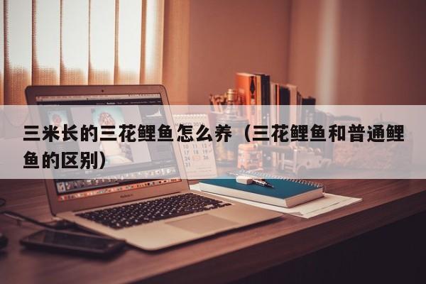 三米长的三花鲤鱼怎么养（三花鲤鱼和普通鲤鱼的区别）