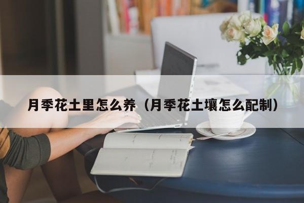 月季花土里怎么养（月季花土壤怎么配制）