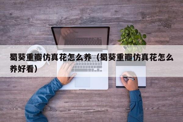蜀葵重瓣仿真花怎么养（蜀葵重瓣仿真花怎么养好看）
