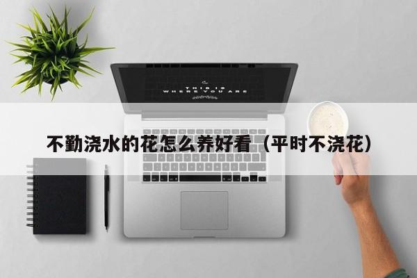 不勤浇水的花怎么养好看（平时不浇花）