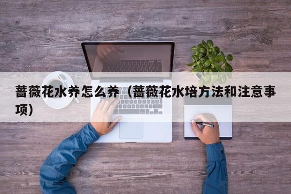 蔷薇花水养怎么养（蔷薇花水培方法和注意事项）