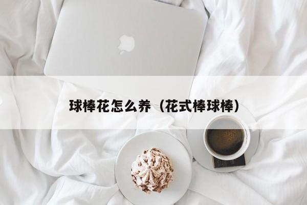 球棒花怎么养（花式棒球棒）