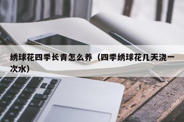 绣球花四季长青怎么养（四季绣球花几天浇一次水）