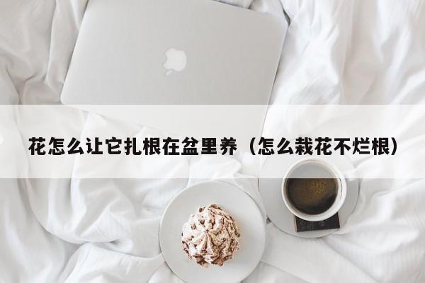 花怎么让它扎根在盆里养（怎么栽花不烂根）