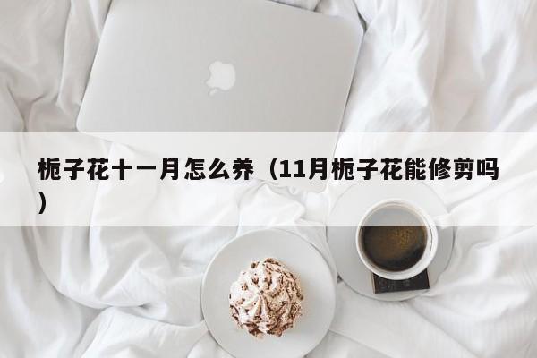 栀子花十一月怎么养（11月栀子花能修剪吗）