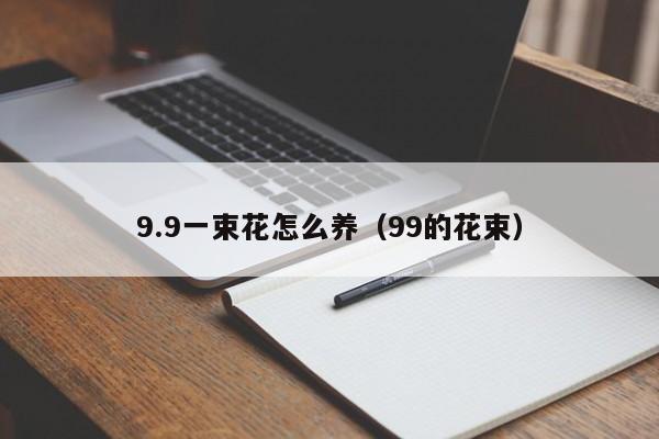 9.9一束花怎么养（99的花束）