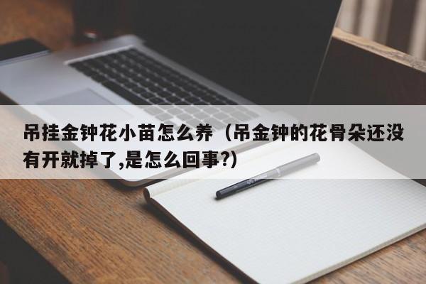 吊挂金钟花小苗怎么养（吊金钟的花骨朵还没有开就掉了,是怎么回事?）