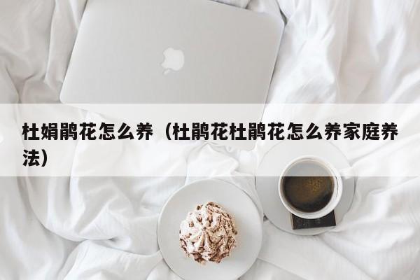 杜娟鹃花怎么养（杜鹃花杜鹃花怎么养家庭养法）
