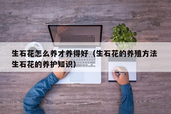 生石花怎么养才养得好（生石花的养殖方法 生石花的养护知识）