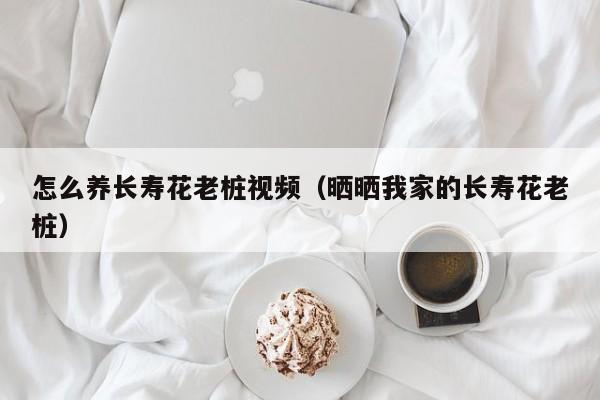 怎么养长寿花老桩视频（晒晒我家的长寿花老桩）