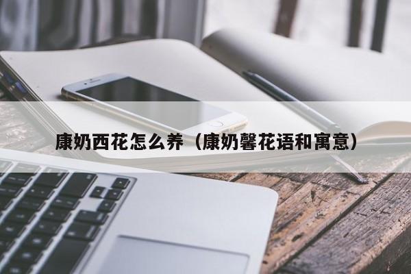 康奶西花怎么养（康奶馨花语和寓意）