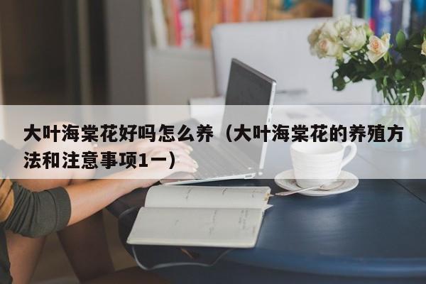 大叶海棠花好吗怎么养（大叶海棠花的养殖方法和注意事项1一）