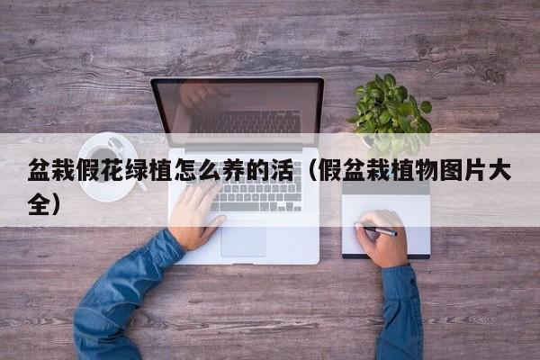 盆栽假花绿植怎么养的活（假盆栽植物图片大全）