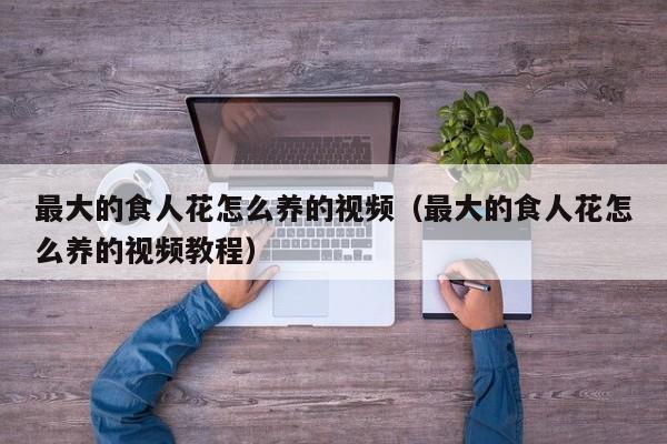 最大的食人花怎么养的视频（最大的食人花怎么养的视频教程）