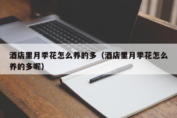 酒店里月季花怎么养的多（酒店里月季花怎么养的多呢）