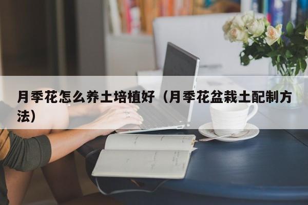 月季花怎么养土培植好（月季花盆栽土配制方法）