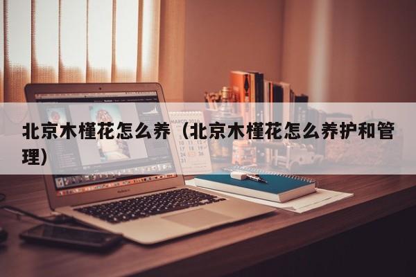 北京木槿花怎么养（北京木槿花怎么养护和管理）