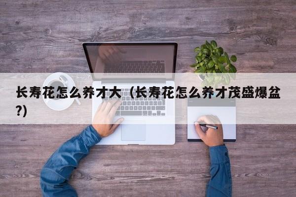 长寿花怎么养才大（长寿花怎么养才茂盛爆盆?）