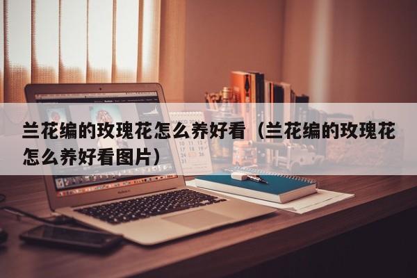 兰花编的玫瑰花怎么养好看（兰花编的玫瑰花怎么养好看图片）