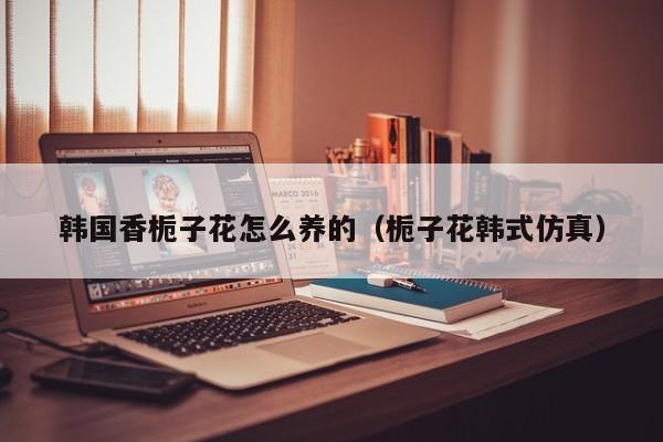 韩国香栀子花怎么养的（栀子花韩式仿真）