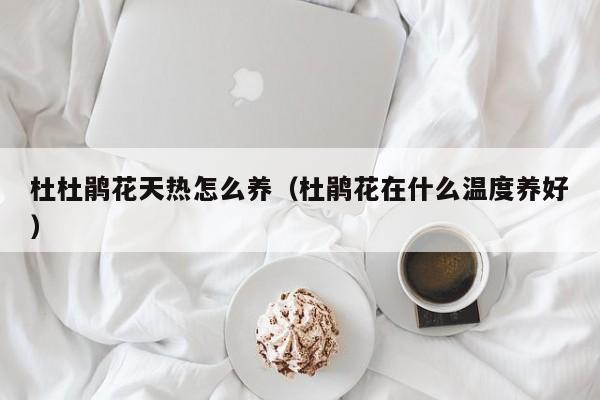 杜杜鹃花天热怎么养（杜鹃花在什么温度养好）