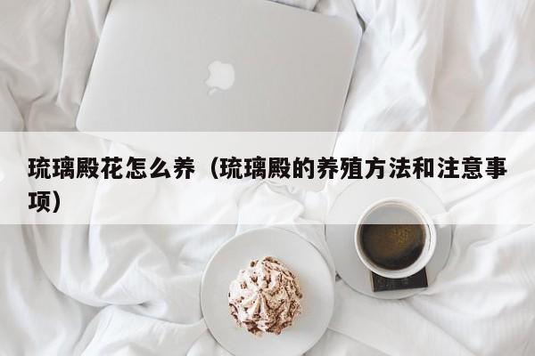 琉璃殿花怎么养（琉璃殿的养殖方法和注意事项）