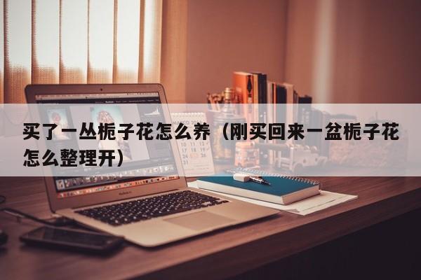 买了一丛栀子花怎么养（刚买回来一盆栀子花怎么整理开）