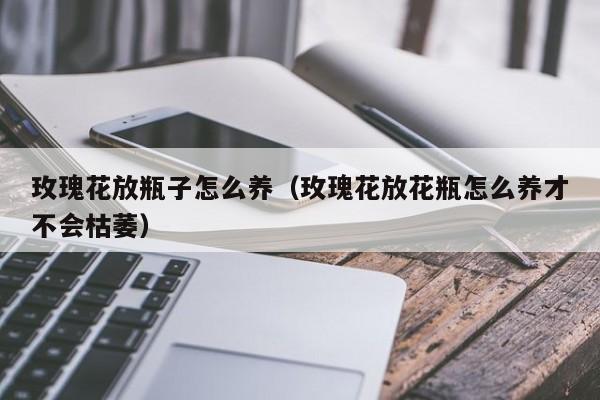玫瑰花放瓶子怎么养（玫瑰花放花瓶怎么养才不会枯萎）