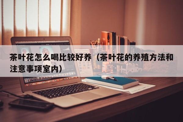 茶叶花怎么喝比较好养（茶叶花的养殖方法和注意事项室内）
