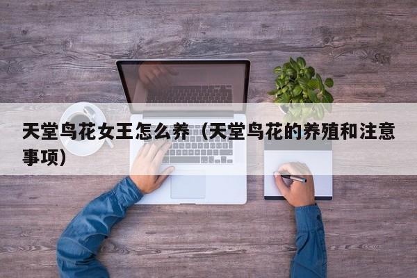 天堂鸟花女王怎么养（天堂鸟花的养殖和注意事项）