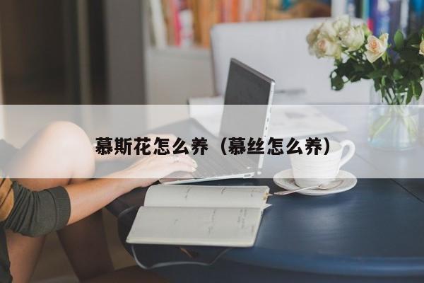 慕斯花怎么养（慕丝怎么养）