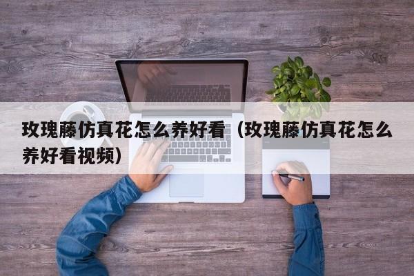 玫瑰藤仿真花怎么养好看（玫瑰藤仿真花怎么养好看视频）