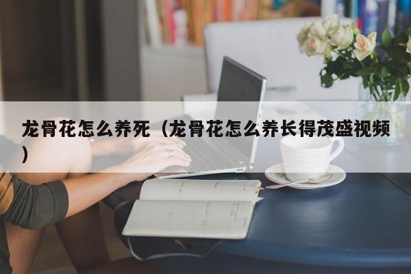 龙骨花怎么养死（龙骨花怎么养长得茂盛视频）