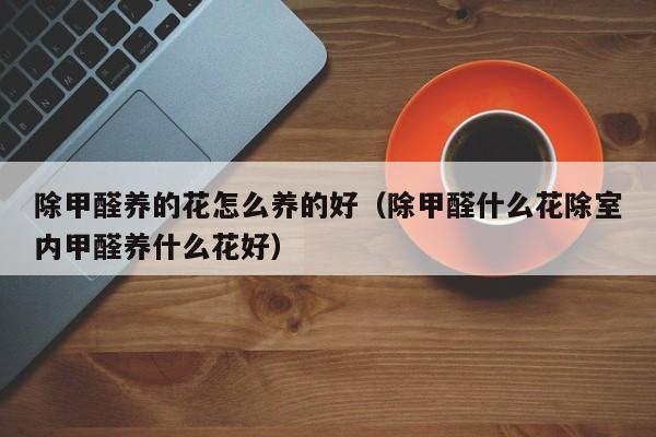 除甲醛养的花怎么养的好（除甲醛什么花除室内甲醛养什么花好）