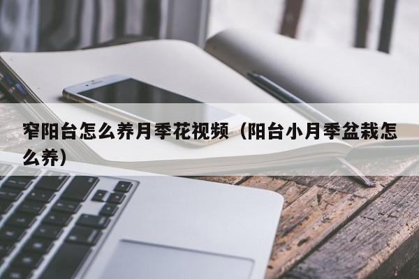 窄阳台怎么养月季花视频（阳台小月季盆栽怎么养）